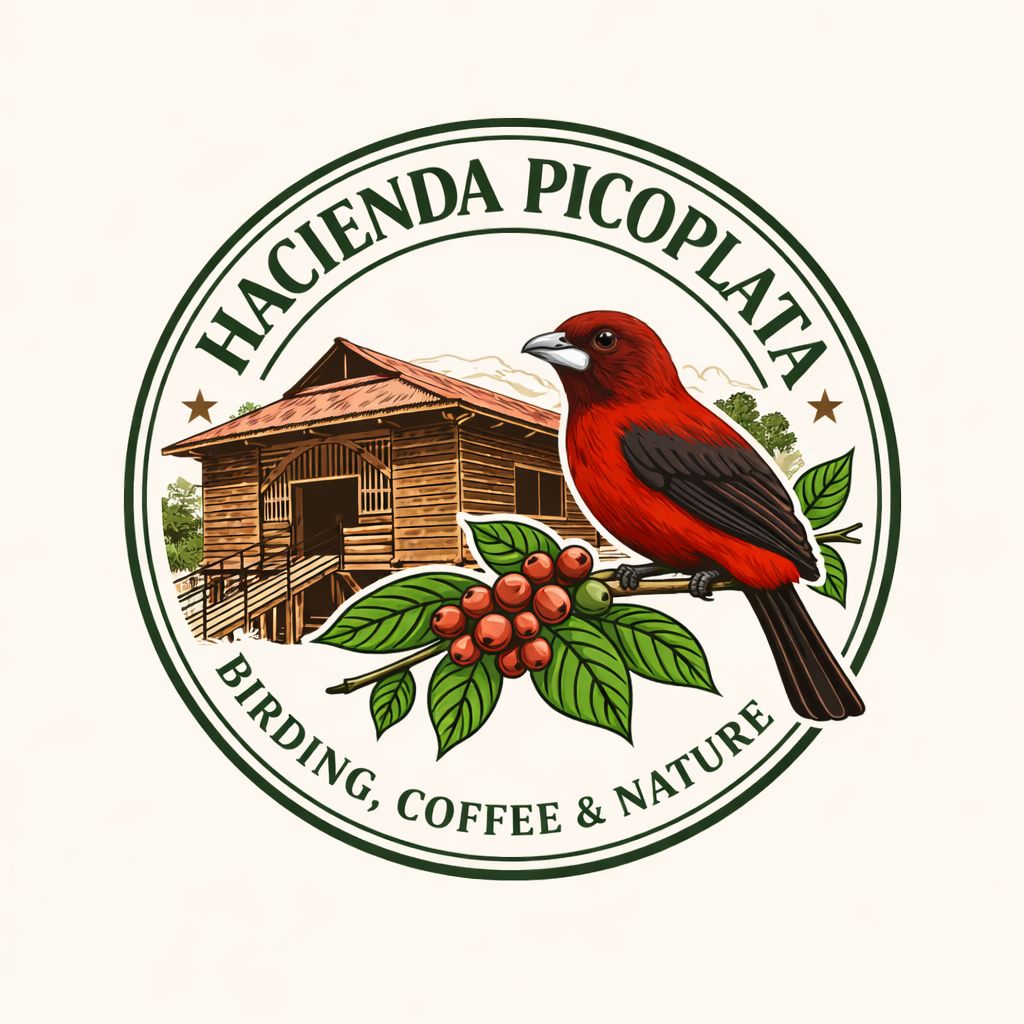 Hacienda Picoplata logo
